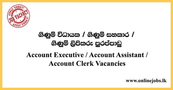Account Executive / Account Assistant / Account Clerk Vacancies