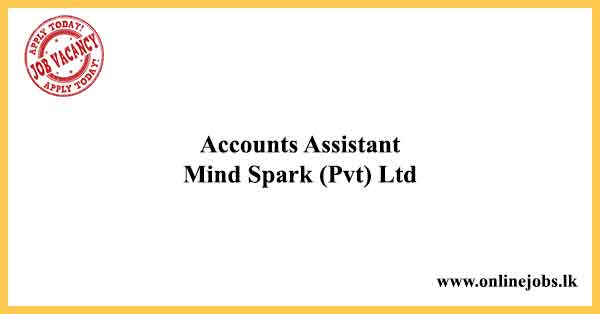 Accountant-Assistance Mind Spark (Pvt) Ltd