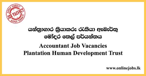 Accountant Job Vacancies Plantation Human Development Trust