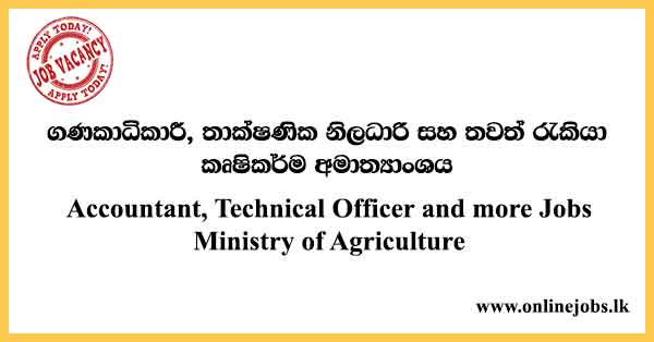 Accountant, Technical Officer and more Jobs Ministry of Agriculture