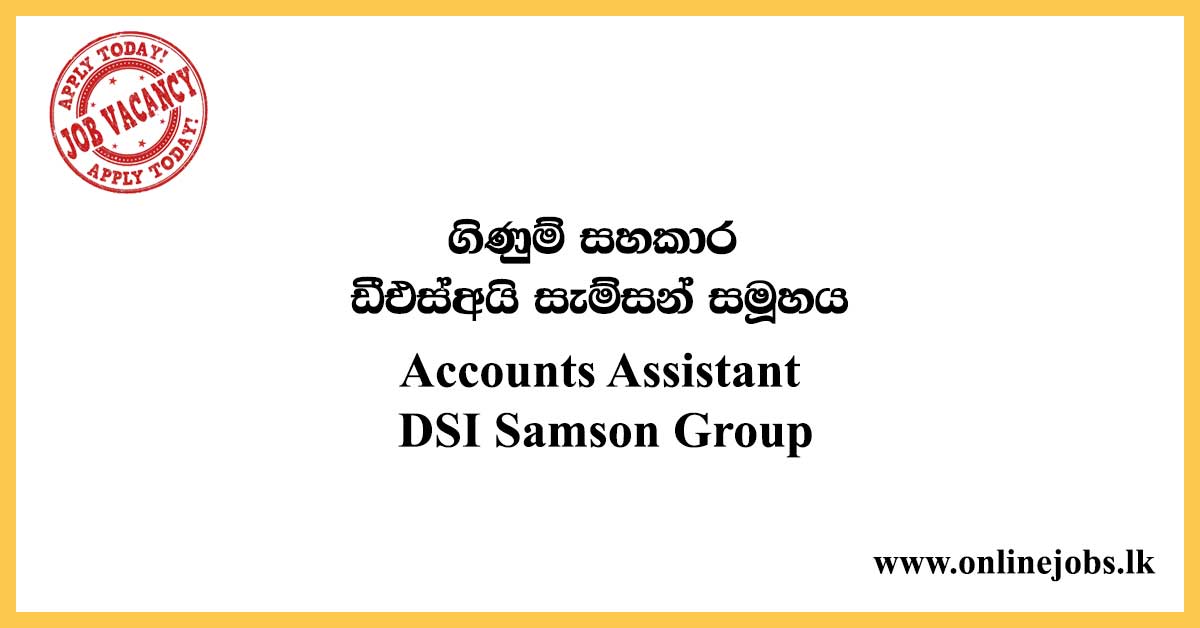 Accounts Assistant - DSI Samson Group