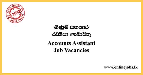 Accounts Assistant Job Vacancies