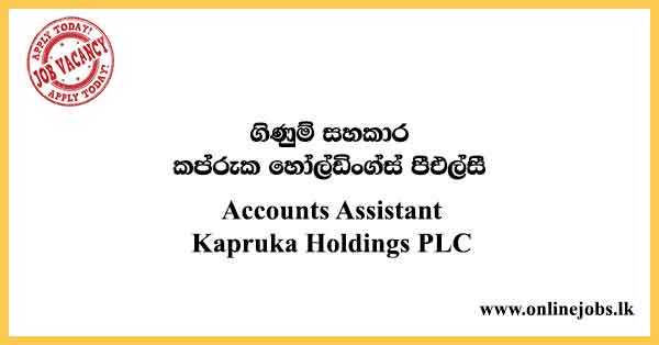 Accounts Assistant Kapruka Holdings PLC