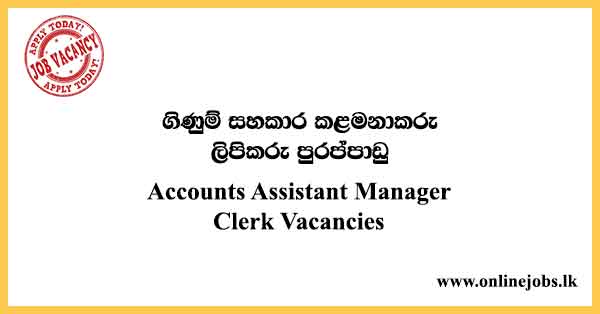 Accounts Assistant Manager / Clerk Vacancies