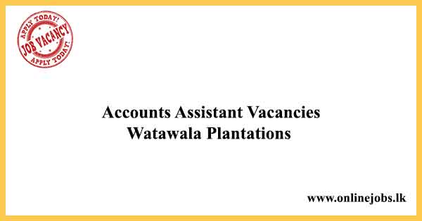 Accounts Assistant Vacancies Watawala Plantations