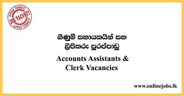 Accounts Assistants & Clerk Vacancies