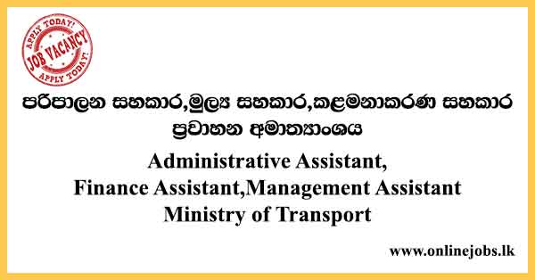 Administrative Assistant, Finance Assistant, Management Assistant - Ministry of Transport Job Vacancies 2024
