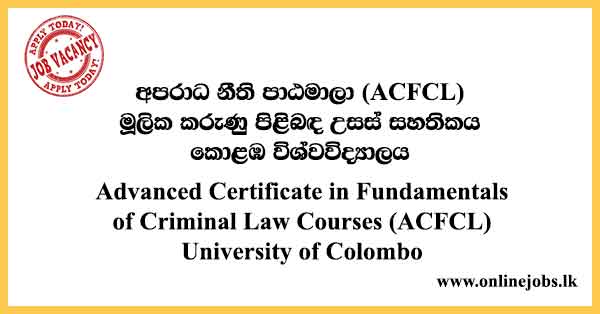 Advanced Certificate in Fundamentals of Criminal Law Courses 2022