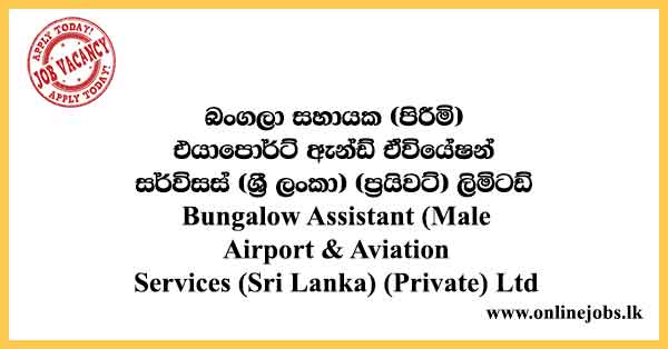 Bungalow Assistant Airport & Aviation Services