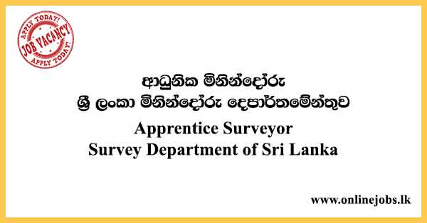 Apprentice Surveyor - Survey Department Job Vacancies 2024