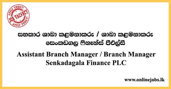 Assistant Branch Manager / Branch Manager - Senkadagala Finance Job Vacancies 2024