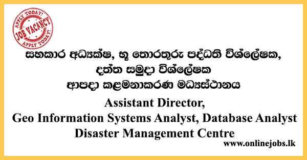 Assistant Director, Geo Information Systems Analyst, Database Analyst - Disaster Management Centre Vacancies 2024