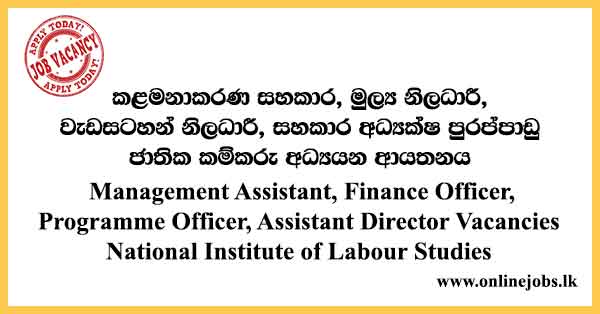 Management Assistant, Finance Officer, Programme Officer, Assistant Director Vacancies National Institute of Labour Studies