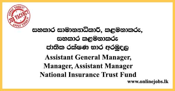 Assistant General Manager, Manager, Assistant Manager - National Insurance Trust Fund Board Job Vacancies 2024