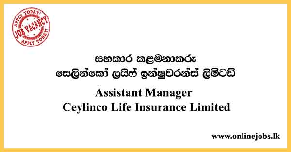 Assistant Manager - Ceylinco Life Insurance Jobs 2024