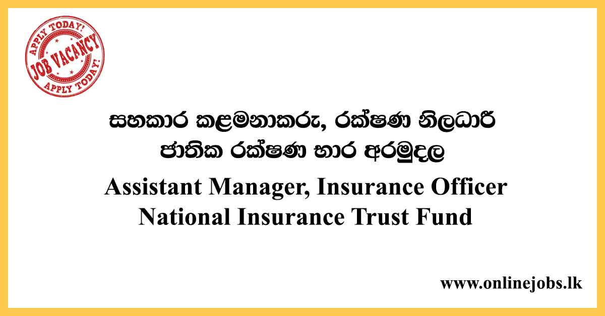 Assistant Manager, Insurance Officer - National Insurance Trust Fund 2020