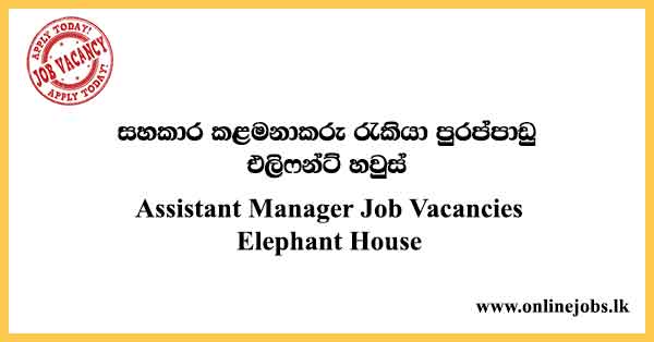 Assistant Manager Job Vacancies Elephant House