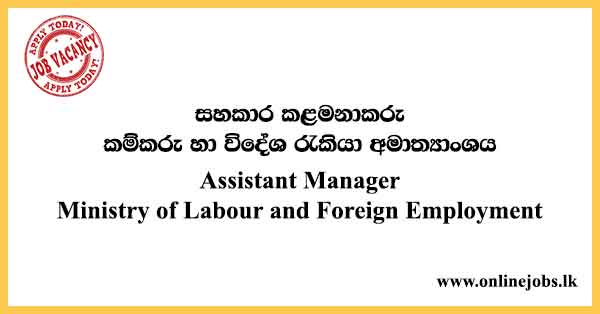 Assistant Manager - Ministry of Labour and foreign employment Vacancies 2024
