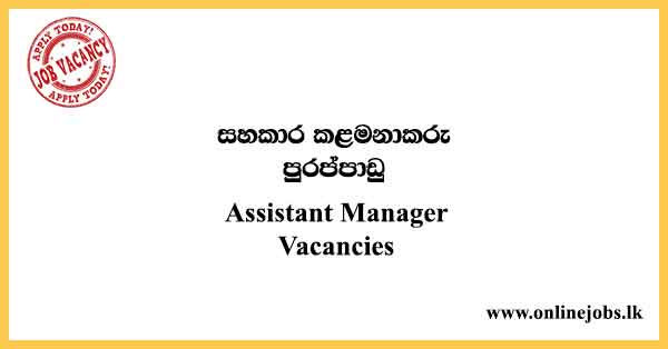 Assistant Manager Vacancies