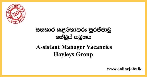 Assistant Manager Vacancies Hayleys Group