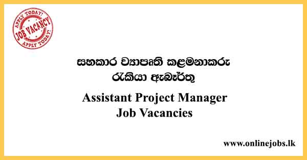 Assistant Project Manager Job Vacancies