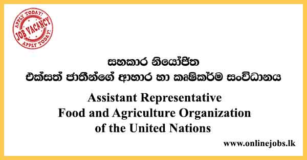 Assistant Representative Food and Agriculture Organization of the United Nations