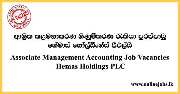 Associate Management Accounting - Hemas Holdings Job Vacancies 2024