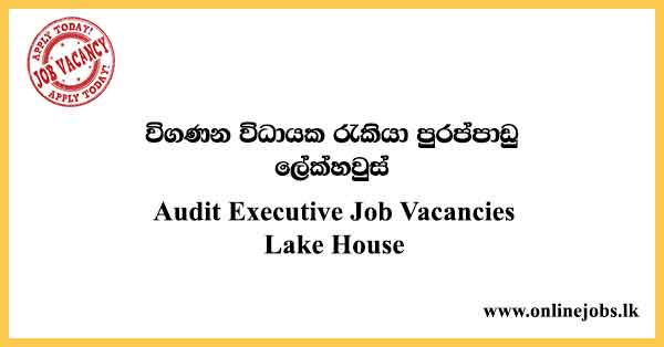 Audit Executive - Lake House Job Vacancies 2023
