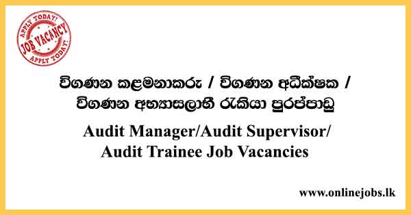 Audit Trainee Job Vacancies