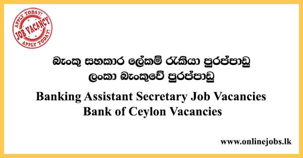 Banking Assistant Secretary Job Vacancies - Bank of Ceylon Vacancies 2023