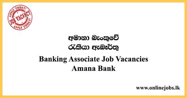 Banking Associate Job Vacancies Amana Bank