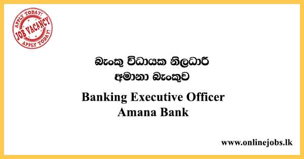 Banking Executive Officer Amana Bank