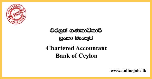 Chartered Accountant Bank of Ceylon