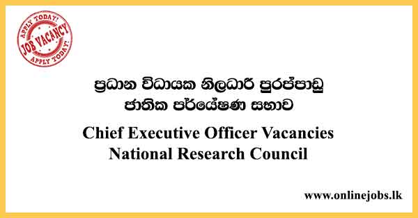 Chief Executive Officer Vacancies