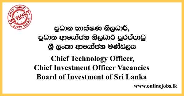 Chief Technology Officer,
