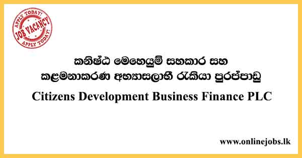 Citizens Development Business Finance PLC