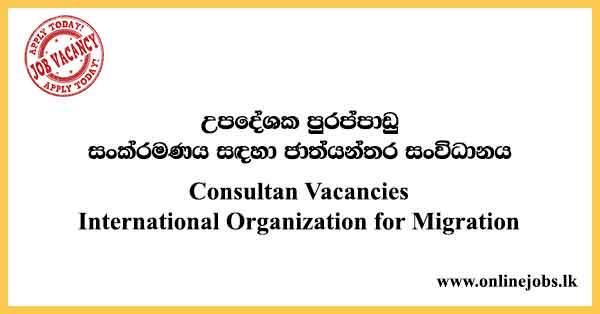 Consultan Vacancies International Organization for Migration