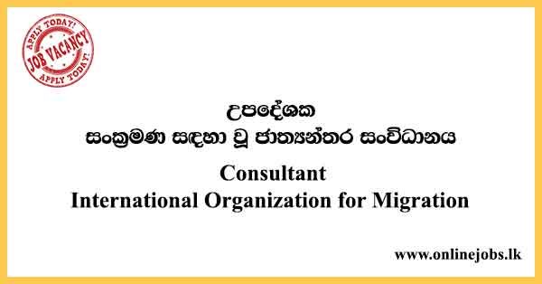 Consultant - International Organization for Migration Vacancies 2022