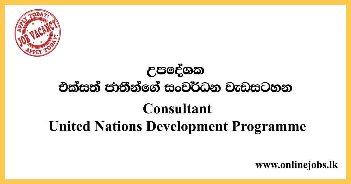 Consultant - United Nations Development Programme Vacancies 2020