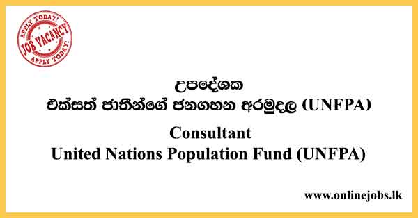 Consultant - United Nations Population Fund (UNFPA) Vacancies 2022