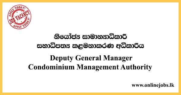 Deputy General Manager Condominium Management Authority