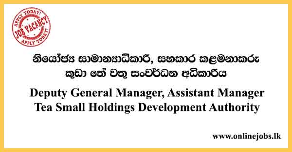 Deputy General Manager, Assistant Manager - Tea Small Holdings Development Authority Vacancies 2023