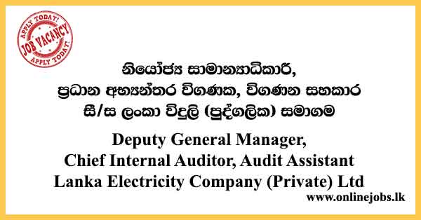 Deputy General Manager, Chief Internal Auditor, Audit Assistant - Lanka Electricity Company Jobs 2024