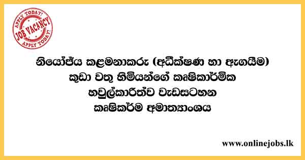 Deputy Manager (Monitoring & Evaluation) - Ministry of Agriculture Vacancies 2021