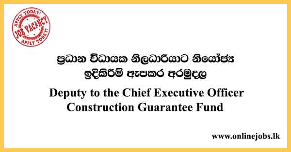 Deputy to the Chief Executive Officer Construction Guarantee Fund