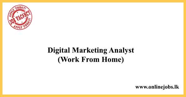 Digital Marketing Analyst