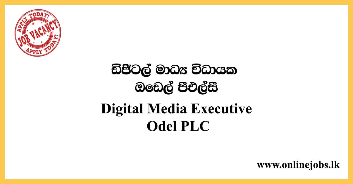 Digital Media Executive - Odel PLC