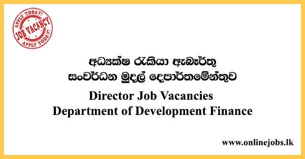 Director Job Vacancies Department of Development Finance