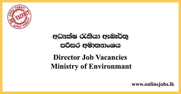 Director Job Vacancies Ministry of Environmant