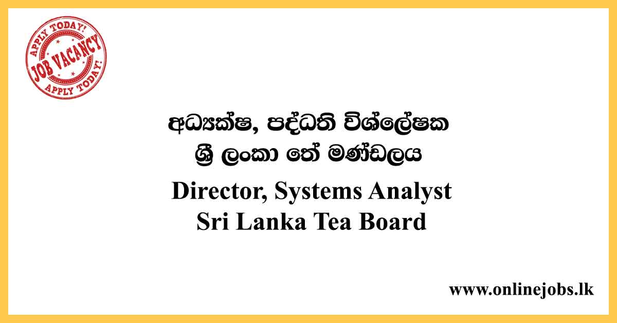 Director-Systems-Analyst